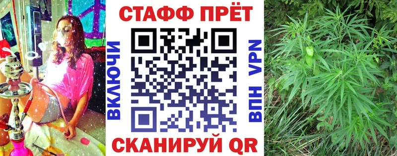 Где найти наркотики Мончегорск Cocaine  Канабис 