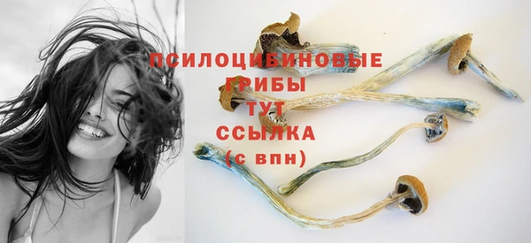 ECSTASY Бугульма