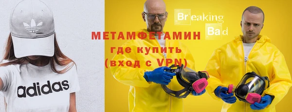 PSILOCYBIN Бородино
