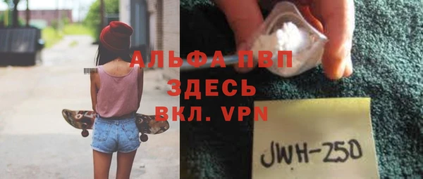 PSILOCYBIN Бородино