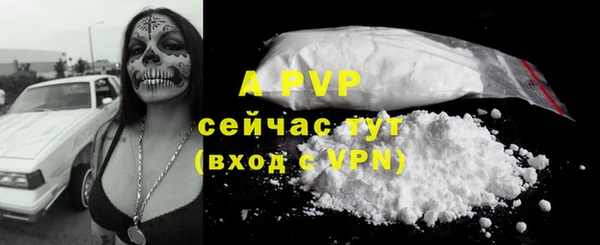 PSILOCYBIN Бородино