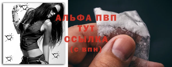 PSILOCYBIN Бородино