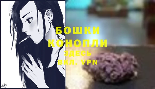 винт Бронницы