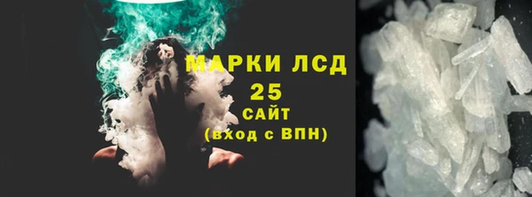 PSILOCYBIN Бородино