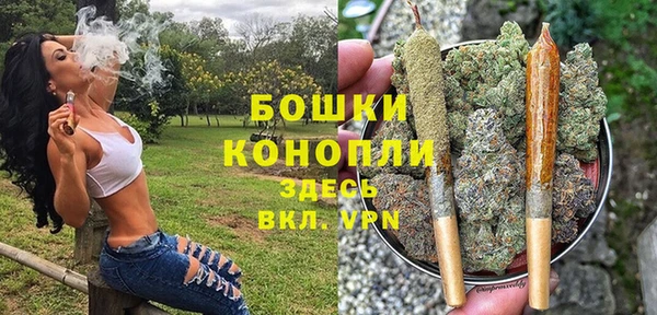 PSILOCYBIN Бородино