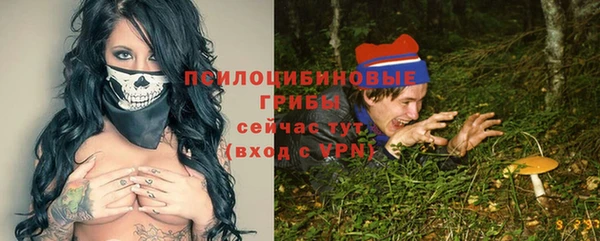 винт Бронницы