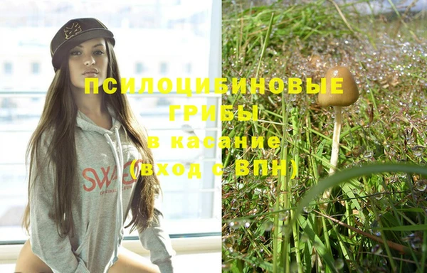 винт Бронницы
