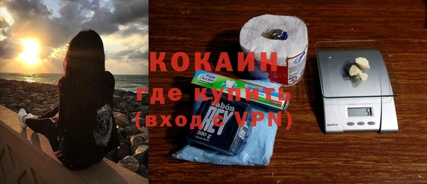 PSILOCYBIN Бородино