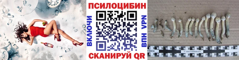 Псилоцибиновые грибы мицелий  Мончегорск 