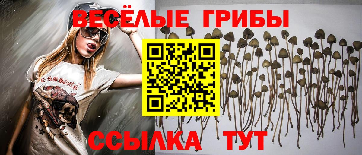 Галлюциногенные грибы мицелий  Вход с VPN  Мончегорск 