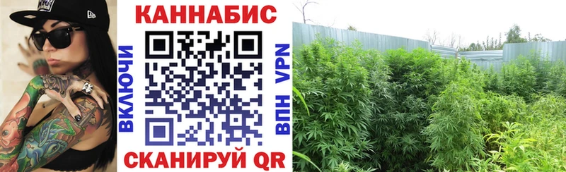 mega сайт  где купить   Мончегорск  Бошки Шишки семена 